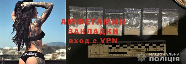 гидра Богородицк