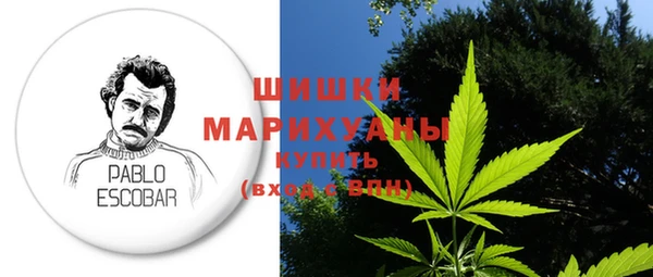 гидра Богородицк