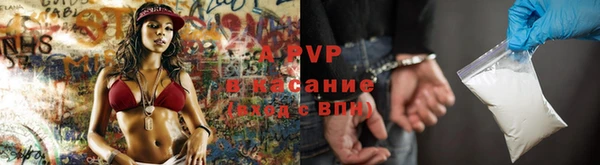гидра Богородицк