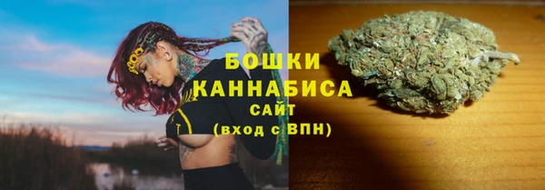 гидра Богородицк