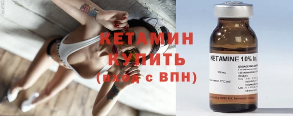 гидра Богородицк