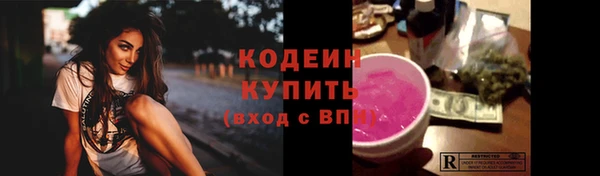 гидра Богородицк