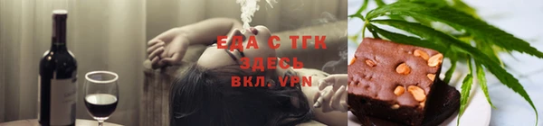 гидра Богородицк
