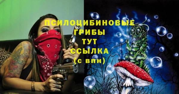 кристаллы Богданович