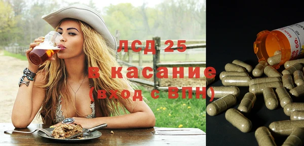 гидра Богородицк