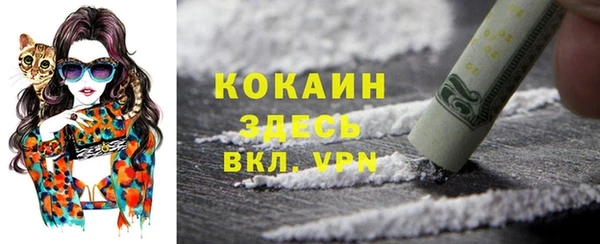 гидра Богородицк