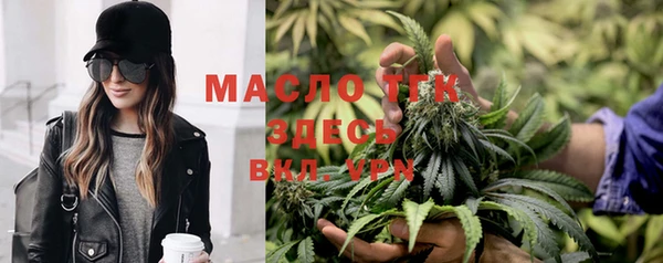 гидра Богородицк