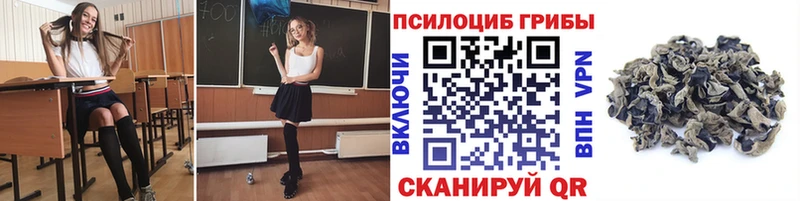 Псилоцибиновые грибы Psilocybine cubensis  OMG ONION  Кисловодск  продажа наркотиков 